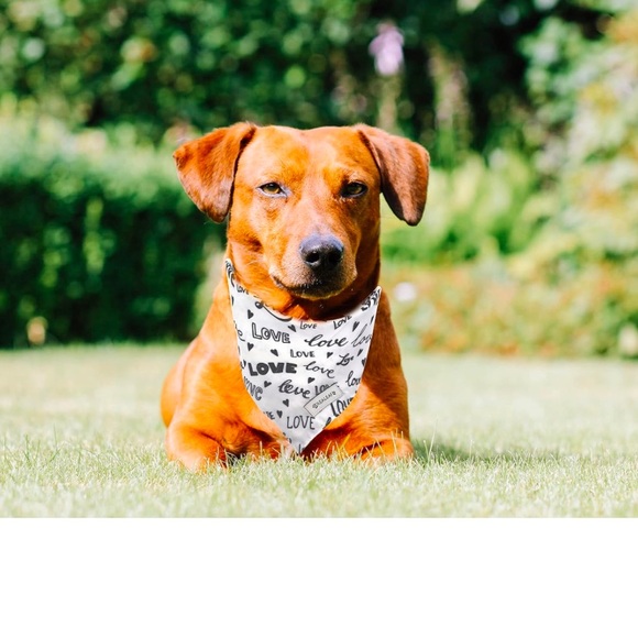 Realeaf Dog Bandana, Triangle Reversible Love Pet Scarf for boys or girls,NWT - Picture 5 of 9